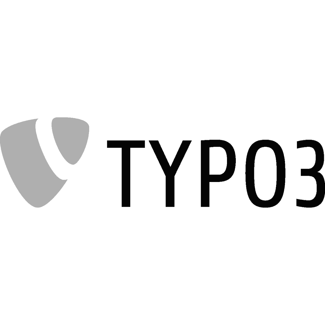 typo3 from swiss-devs.com